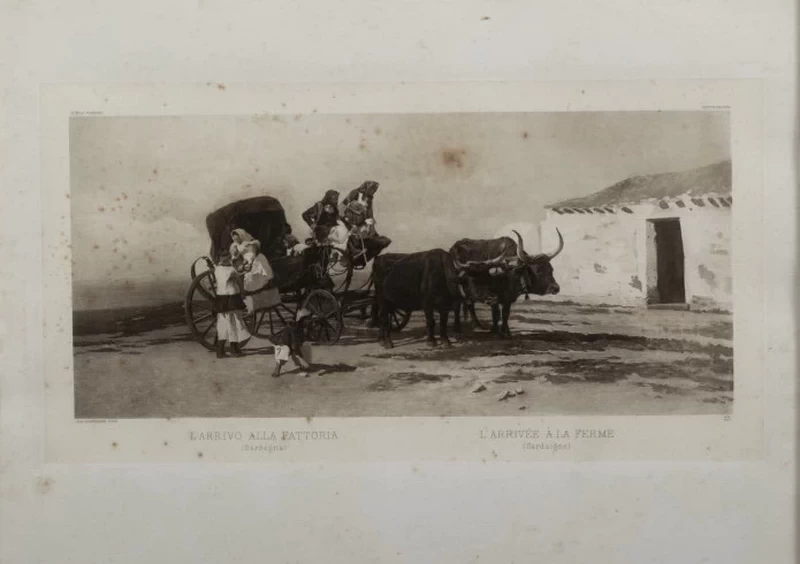 L'arrivo alla fattoria
